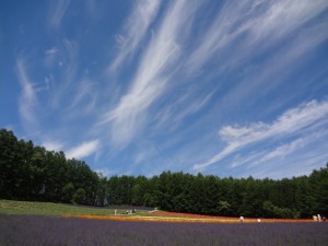 空大きい